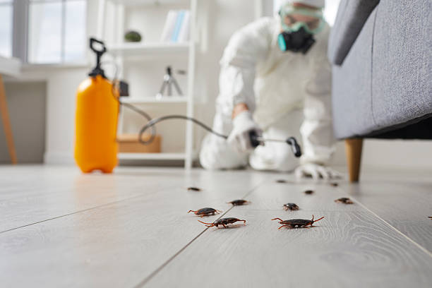 Commercial Kitchen Cockroach Control in Alameda